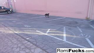 Romi Rain And Dani Have Lesbian Fun Under Black Light