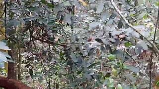 O Cara Pagou Pra Ver A Minha Buceta No Parque Ecológico Tive Que Entrar No Mato E Mostrar Pra Ele