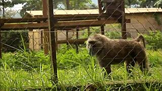footballer fucks mature woman in tourist park