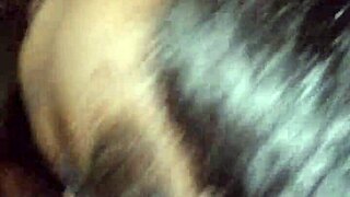 ebony amateurs perform sloppy xxx acts passionately