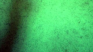 Panties Try On Haul Thong Ass Shaking