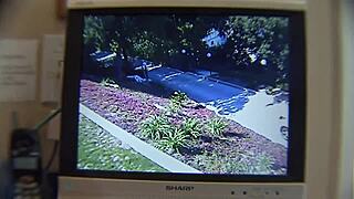 Thrilled by My Step Daughter Sucking Black Cock at the Office in Interracial Scene