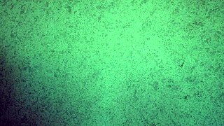 Panties Try On Haul Thong Ass Shaking