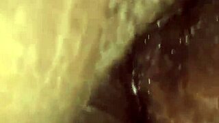 Amateur black ass and pussy get fucked in missionary position. The chubby ebony enjoys the intense anal session.