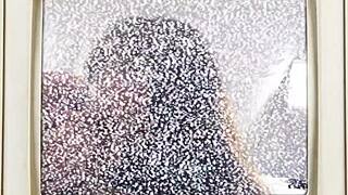 minnie rose's face gets covered in cum after a pov blowjob scene.