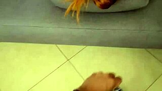 mutual masturbation with my sister-in-law watching christmas movies