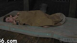 Hot serf feels intense pleasure from oral stimulation leading to orgasm.