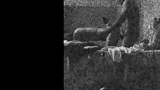 Bent over doggystyle in guatemala