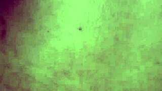 Eating Black Woman's Ass at São João