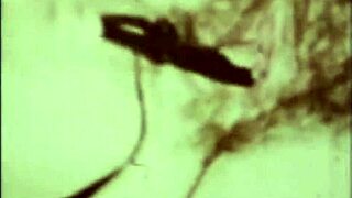 Vintage Interracial Fucking Blowjob In Erotic Confessions