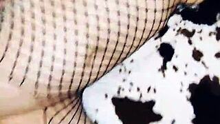 wife as a prostitute in roleplay video with stockings lingerie pov