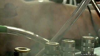 lesbians masturbate and anal fucks with toys