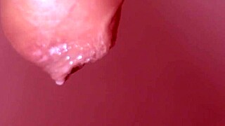 watch this japanese blowjob up close, uncensored