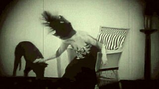 Vintage pussy and pooch outdoor scene.