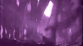 Vintage pussy and pooch outdoor scene.