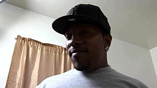 anita cannibas takes charge as the mayor of cougar town in this wild tale