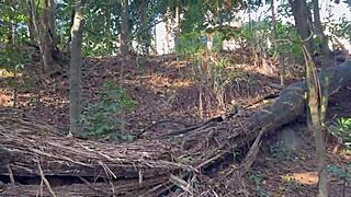 Brazilian Amateur Gets Naked in the Bush with Impressive Curves