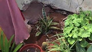 i felt amazing when the farm boy hit my ebony pussy for the first time