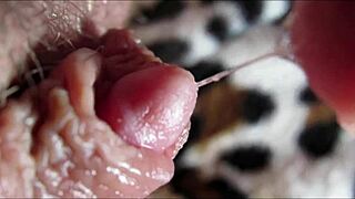 Closeup view captures intense big clit reaching powerful orgasm