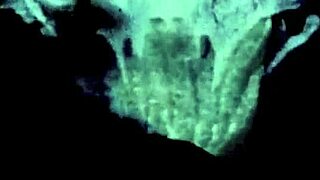 Retro Pussy Fucking Erupts in Vintage Erotic Beaver Action