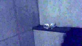 The Asian slut wife grabbed her dildo and vibrator for a steamy solo masturbation session in the gym shower.