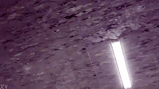 why are you secretly pissing at work?