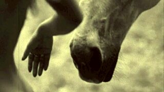 dark lantern entertainment shares erotic confessions from a victorian gentleman's secret life