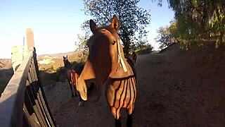 Arabic prince unleashes his desires in a passionate outdoor encounter with intensity.