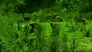 The Intense Passion As Natalia Wood Pulls Out His Dick From Riding Pants To Ride It Roughly And Deeply