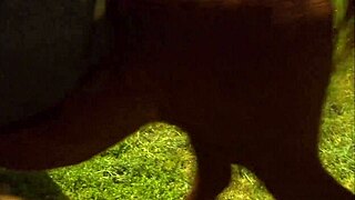 The Intense Passion As Natalia Wood Pulls Out His Dick From Riding Pants To Ride It Roughly And Deeply