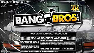 ameena experiences intense double penetration from two massive black cocks in cowgirl and doggystyle