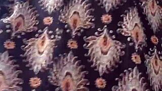 enjoying my curly black toy adventure