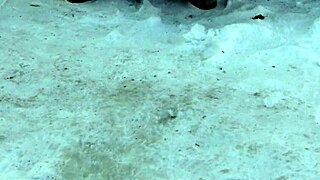 Milf Pissing Outdoors