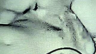 Oh man, this horny housewife totally loves handling two at once