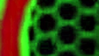 bootylicious tattooed lesbians milf sara jay fucks porsha carrera