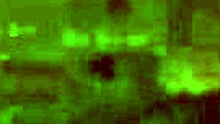 nicole aniston invites her preferred muscular partner for an intense casual encounter