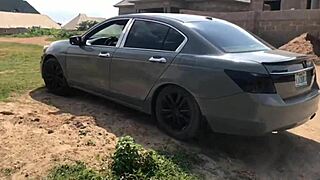 This cheap sloth from the road got offered to my homie for some assplay action