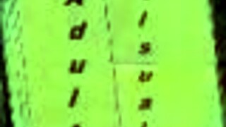 Hey, what if we check into this harem hotel for some game fun?