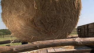 sandra romain enjoys outdoor action with big tits blonde cougar vibe