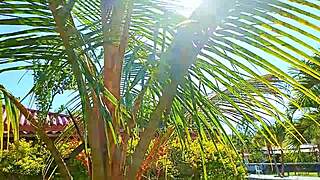 outdoor exhibitionism at the summer camp in medellín i'm a venezuelan slut and i like to fuck in front of my cuckold husband shall we record videos together?