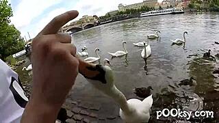 The natural cute French babe with big boobs got so dirty in amateur doggystyle fucking.