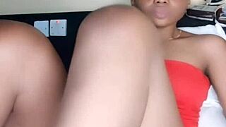 check out streaming records of lives with brazilian and colombian apk app