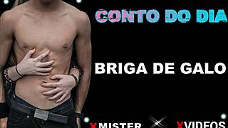 brazilian amateurs engage in intense cock fight