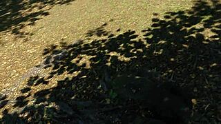 Let's dive into Paradise Trails VR adventure part 5 outdoors 🌴🎮