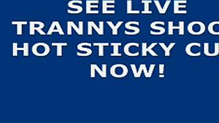 Hot Shemale Delivers a Tantalizing Self Facial Cumshot