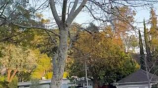 Small Tits Sex Sensual Petite Blonde