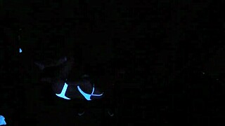 in a casual narrative, scarlett johnson dives into blacklight sex from a pov angle for the second time