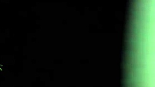 Simple doggy anal session