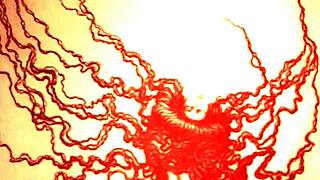 Vintage erotic art collection