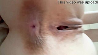 beauty loses bet fucked hard by camp friends again